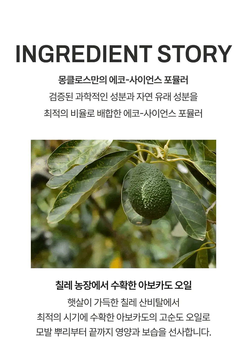 [청담동 헤어샵 찐템] 몽클로스 벨벳 너리싱 트리트먼트 200ml(단품/기획) 상세페이지 17